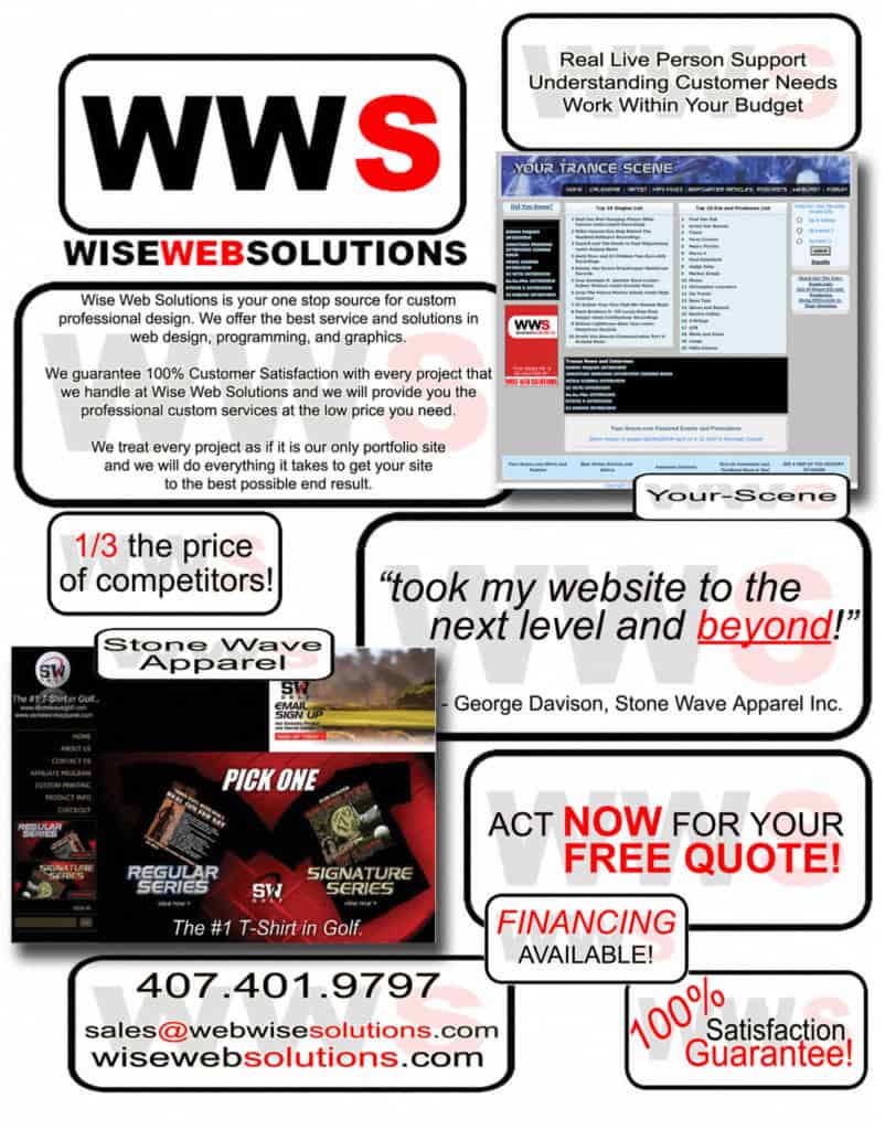 Wise Web Solutions Flyer