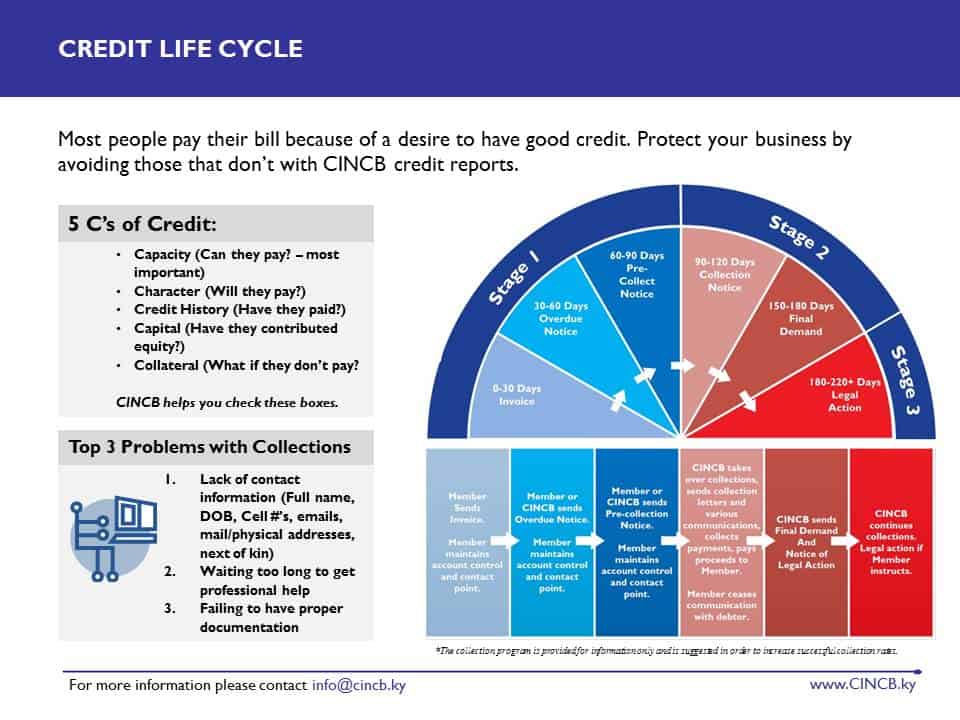 Gavin Consulting Client Success - CINCB - Sample Presentation Material